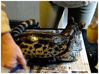 Technique du raku