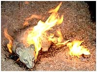Technique du raku