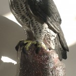 Sculpture faucon pélerin