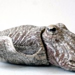 Sculpture seiche